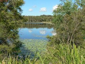 Peaceful Lake