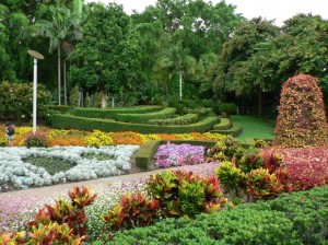 Beauty of Botanical Garden 