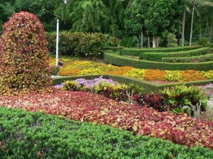 Floral Garden