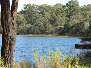 Natural Setting by the Lake