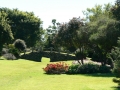 Country Garden 02
