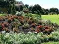 Country Garden 03