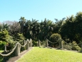 Country Garden 04