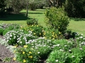 Country Garden 10