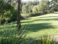 Afternoon 02