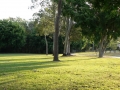Afternoon 03