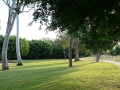 Afternoon 04