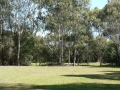 Afternoon 05