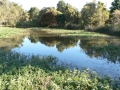 Afternoon 06