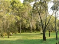 Countryside02