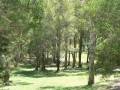 Countryside03