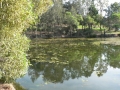 Countryside05