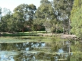 Countryside06