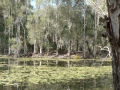 Countryside08