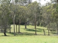 Countryside10