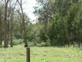 Countryside11