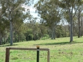 Countryside12