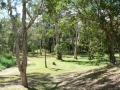Countryside13
