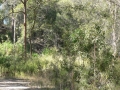 Countryside14