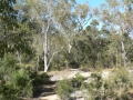 Countryside15