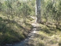 Countryside18
