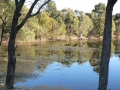 By the Lake 02
