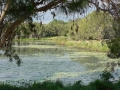 By the Lake 03