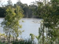 By the Lake 04