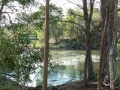By the Lake 05