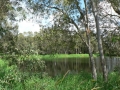 By the Lake 07