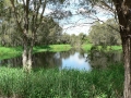 By the Lake 08