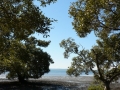 Coastline02