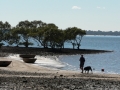 Coastline11