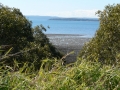 Coastline14