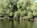 Country Lake 01