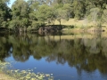 Country Lake 02