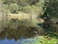 Country Lake 03