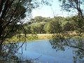 Country Lake 04