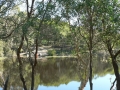 Country Lake 05