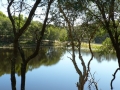 Country Lake 06