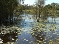 Country Lake 09