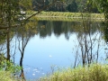 Country Lake 11