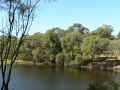 Country Lake 12