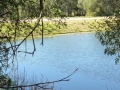 Country Lake 14