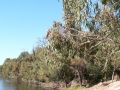 Country Lake 15