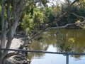 Country Lake 16