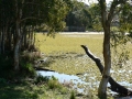 Country Lake 17