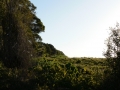 Early Light 04