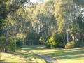 Early Light 10