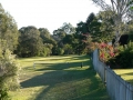 Early Light 11